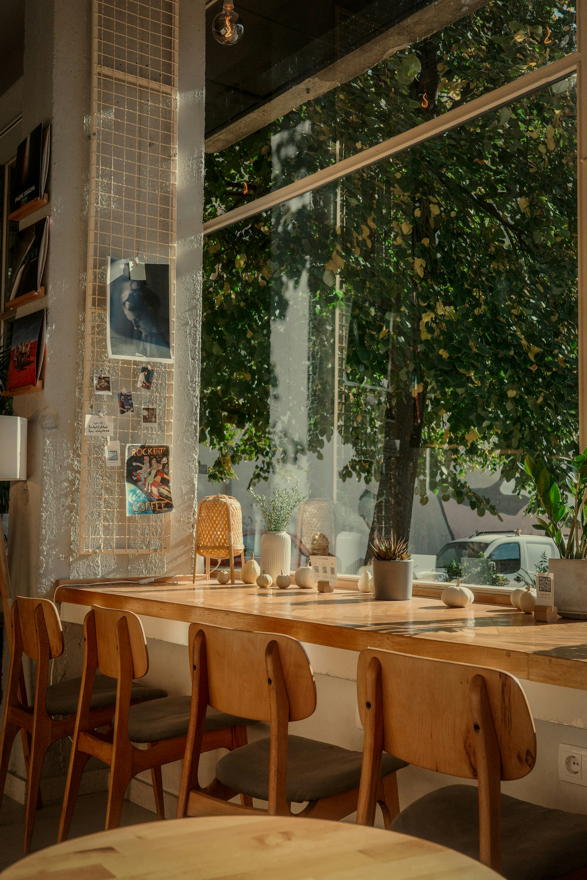 Sunlit café interior with wooden chairs along a long window bar